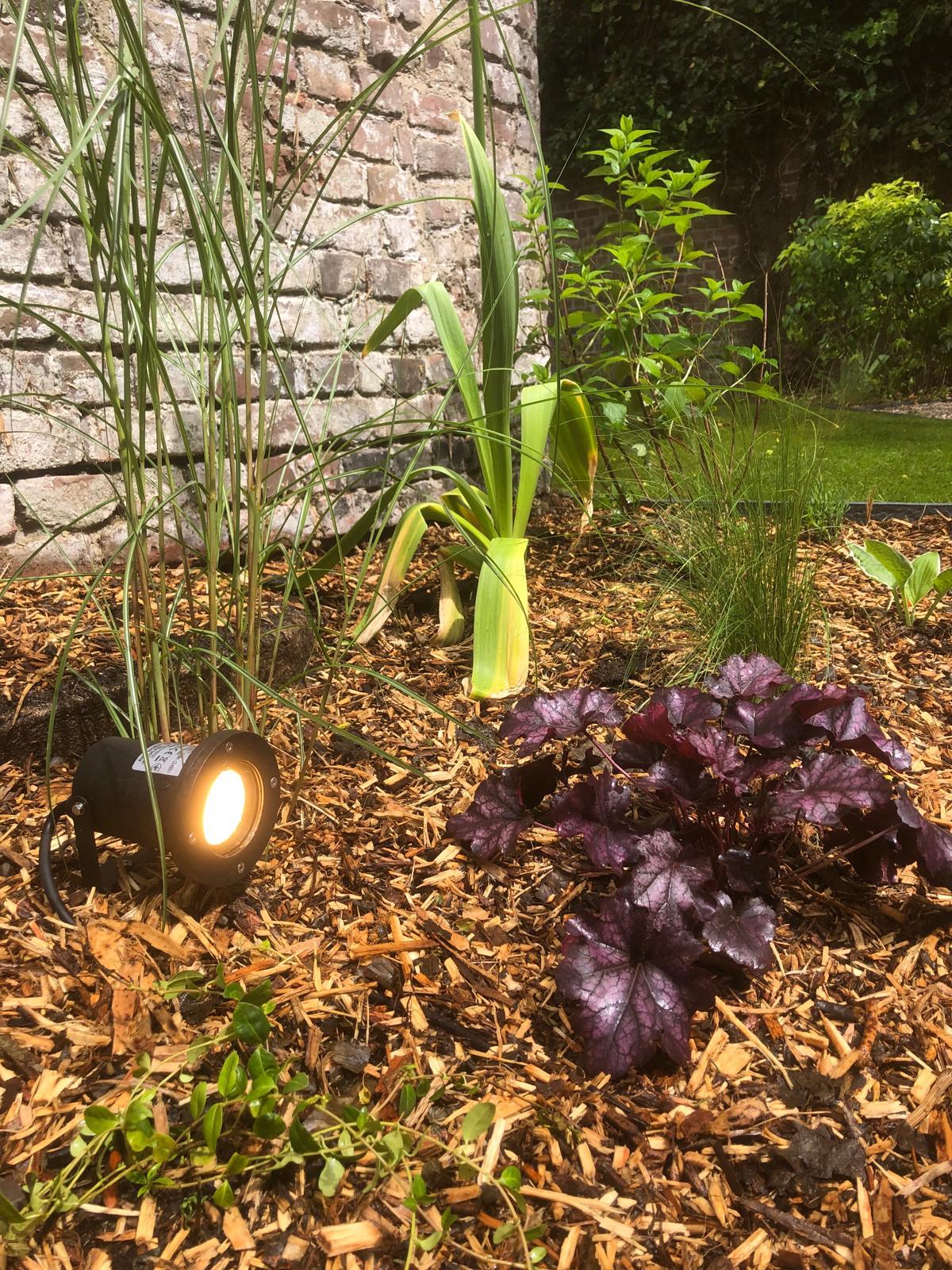 Image 2 de ma galerie photo