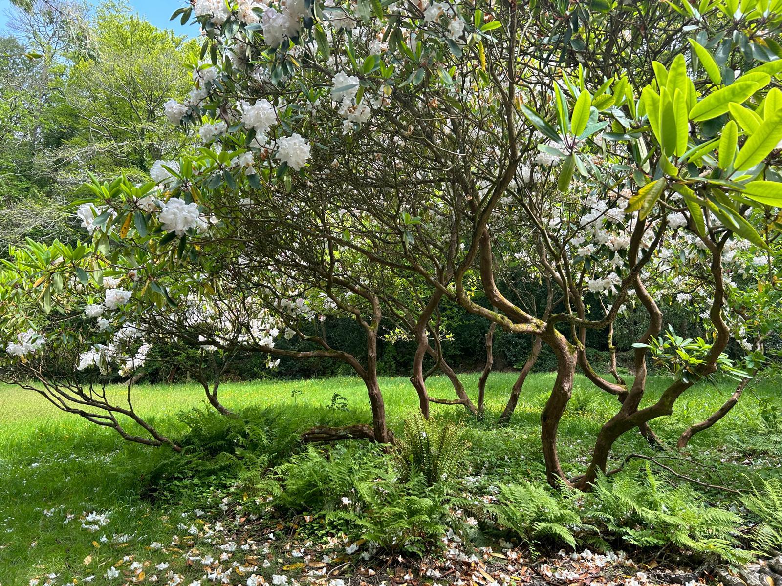 Image 3 de ma galerie photo