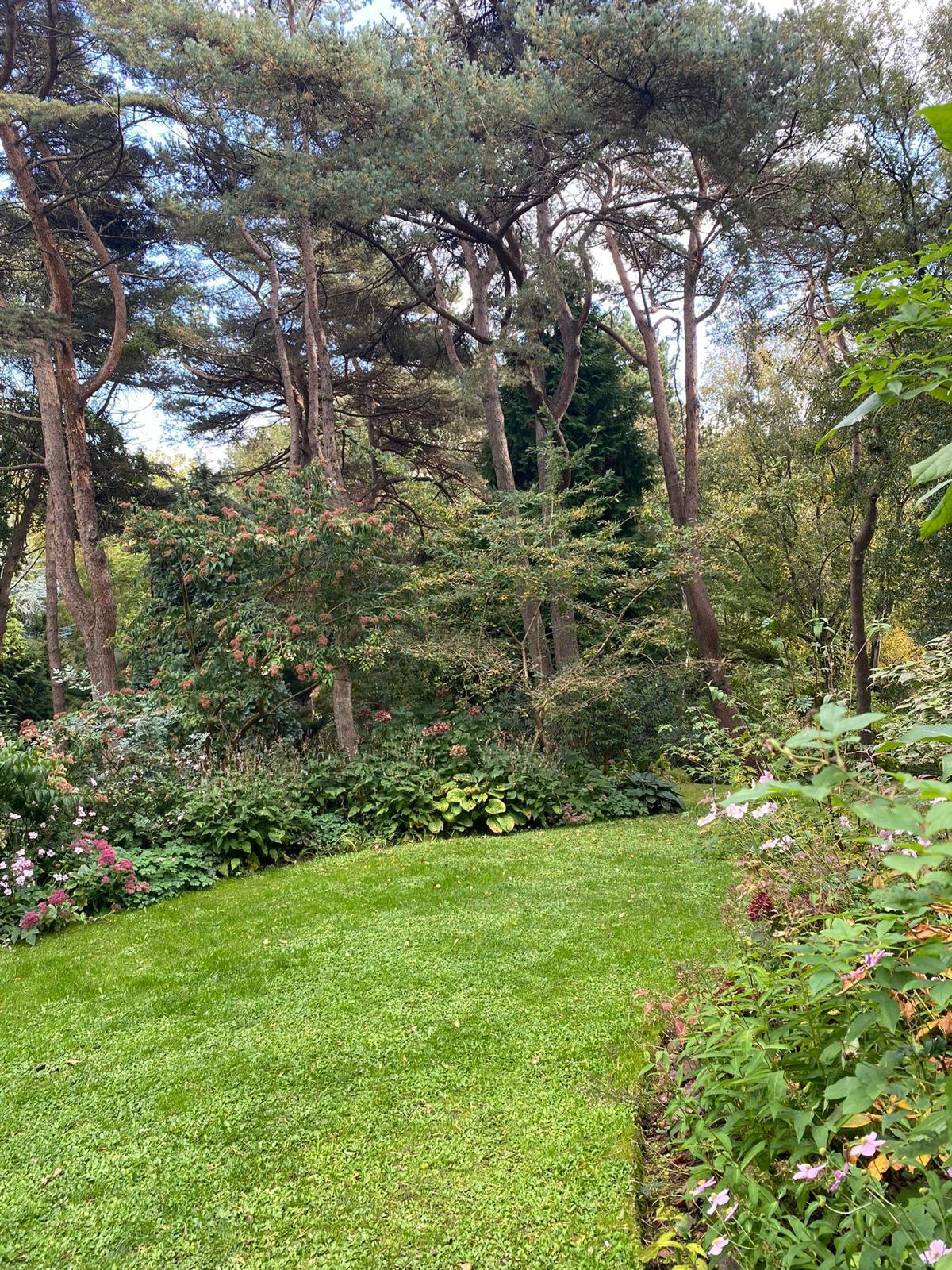 Image 4 de ma galerie photo