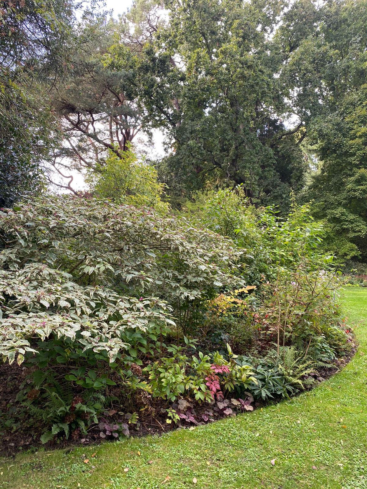 Image 6 de ma galerie photo