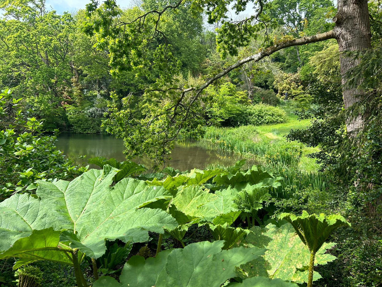 Image 8 de ma galerie photo