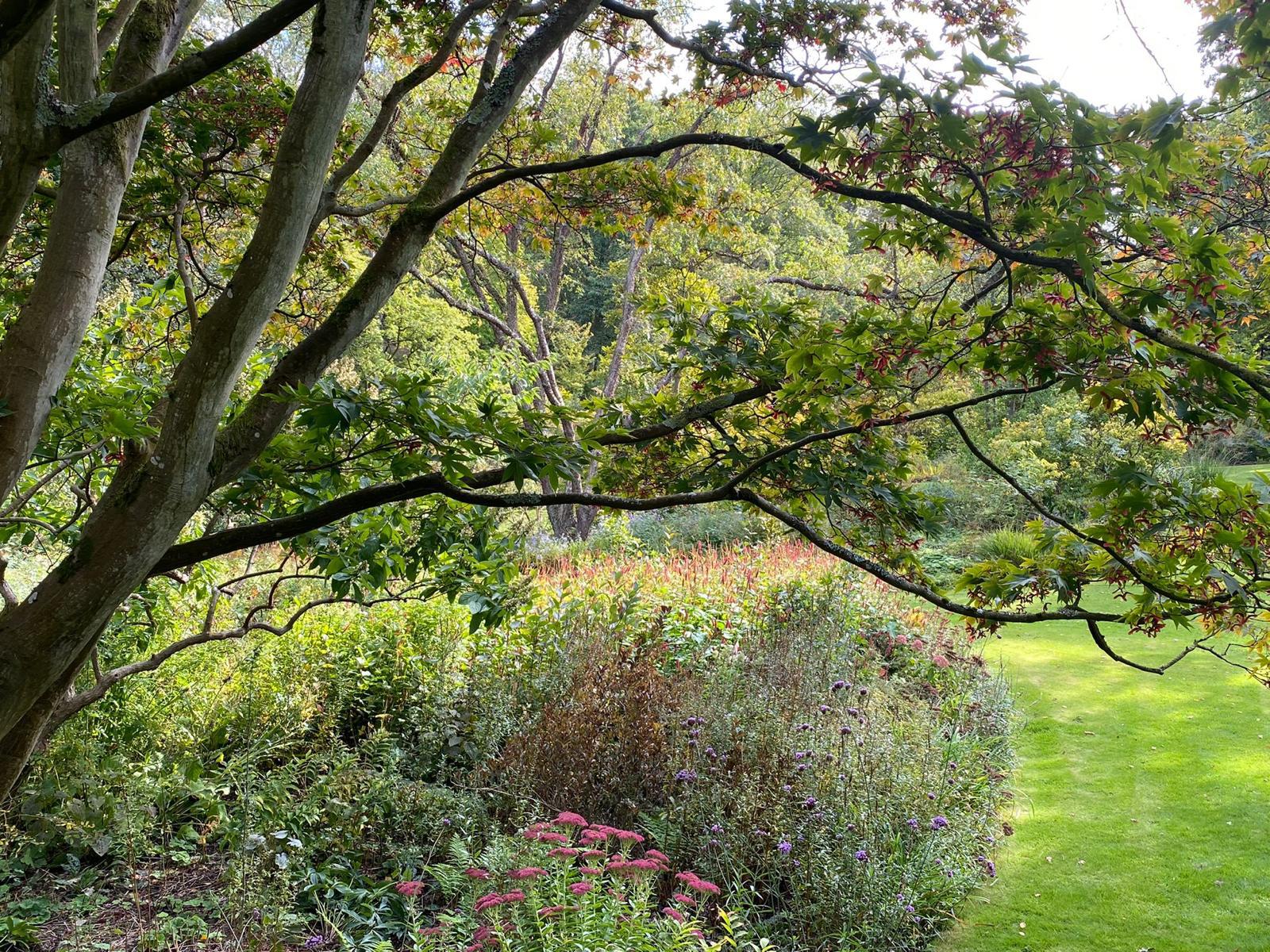 Image du service création de jardin